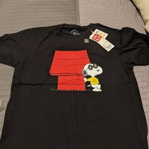 Kaws Uniqlo
